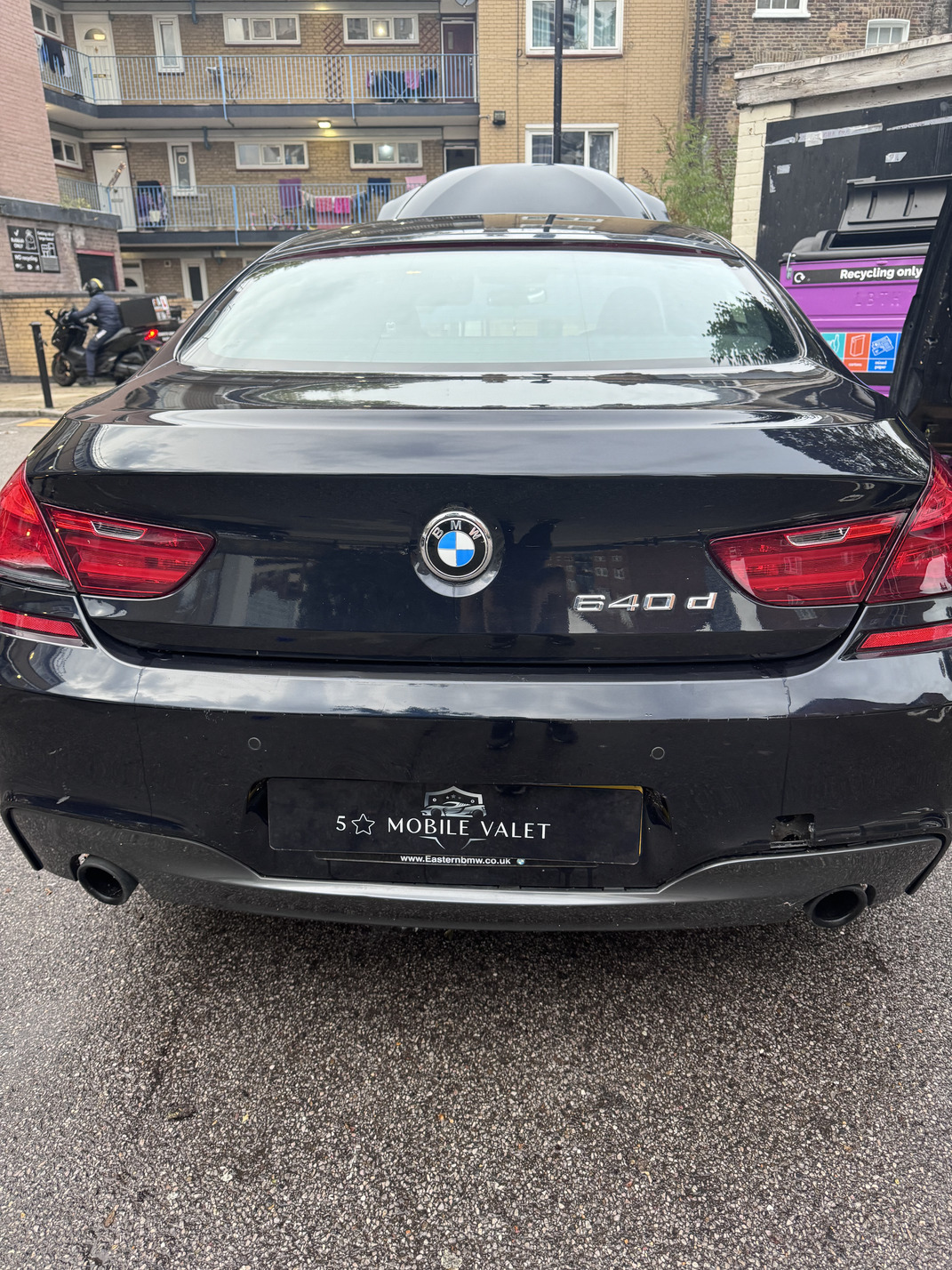 Professional detailing